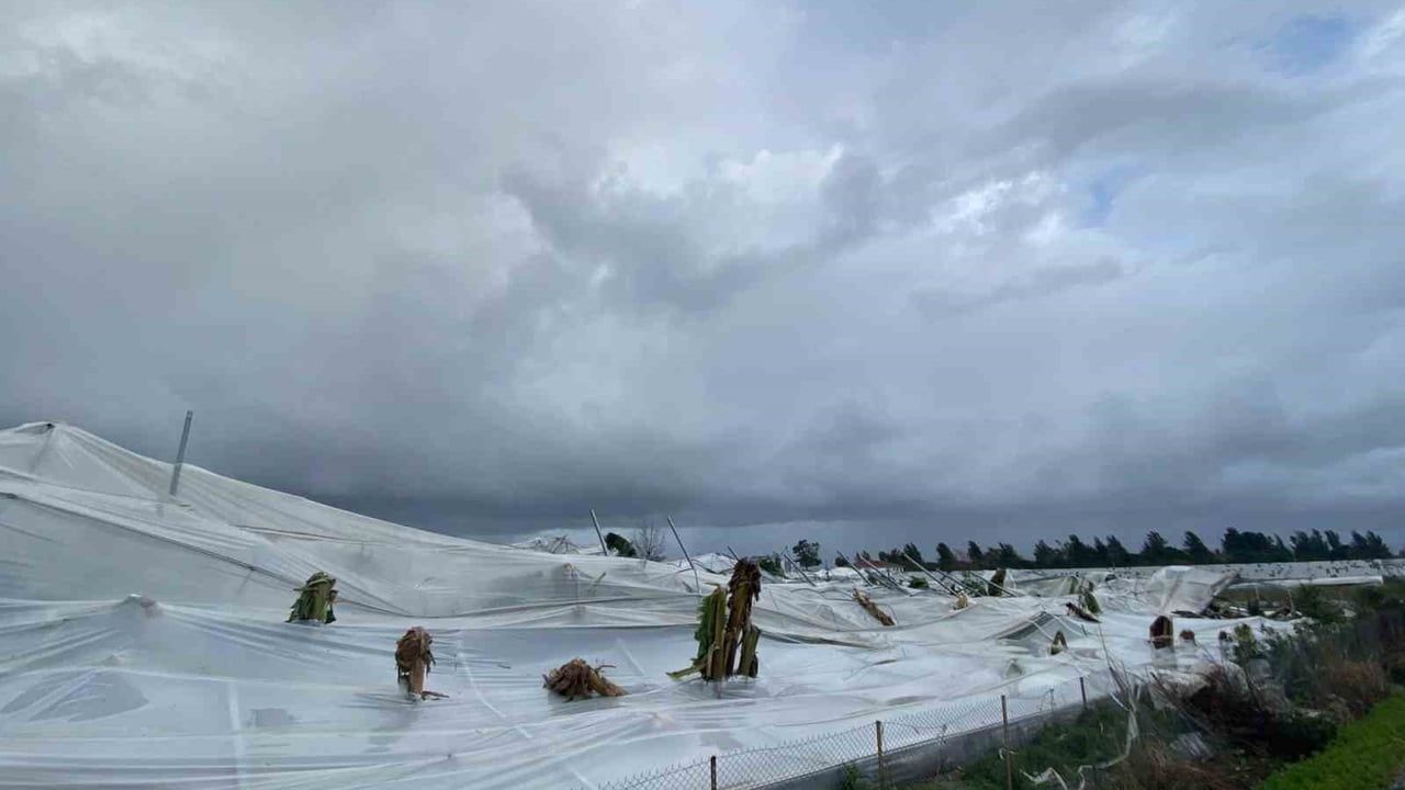Manavgat’ta hortum üç mahallede ağır hasar bıraktı