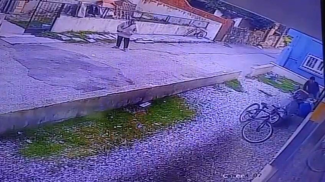 Manisa Yunusemre'de 'Paşa' isimli köpeğin öldürülmesine soruşturma