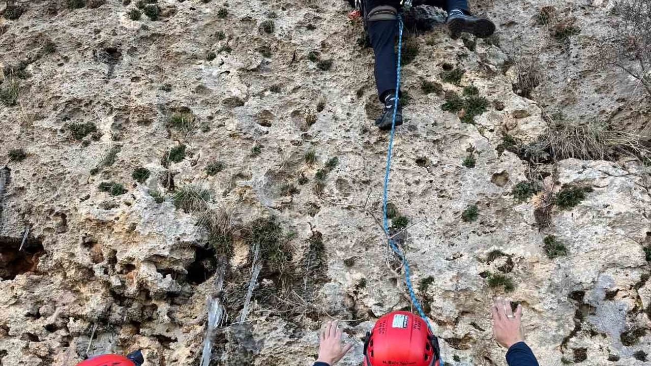 Mardin'de dağda mahsur kalan keçi AFAD tarafından kurtarıldı