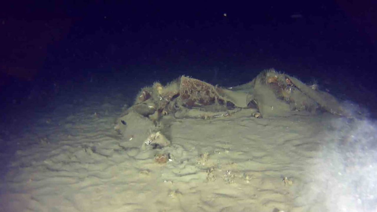 Marmara Denizi’nde 50 yıllık THY 'Bursa' uçağı enkazında yeni parça iddiası