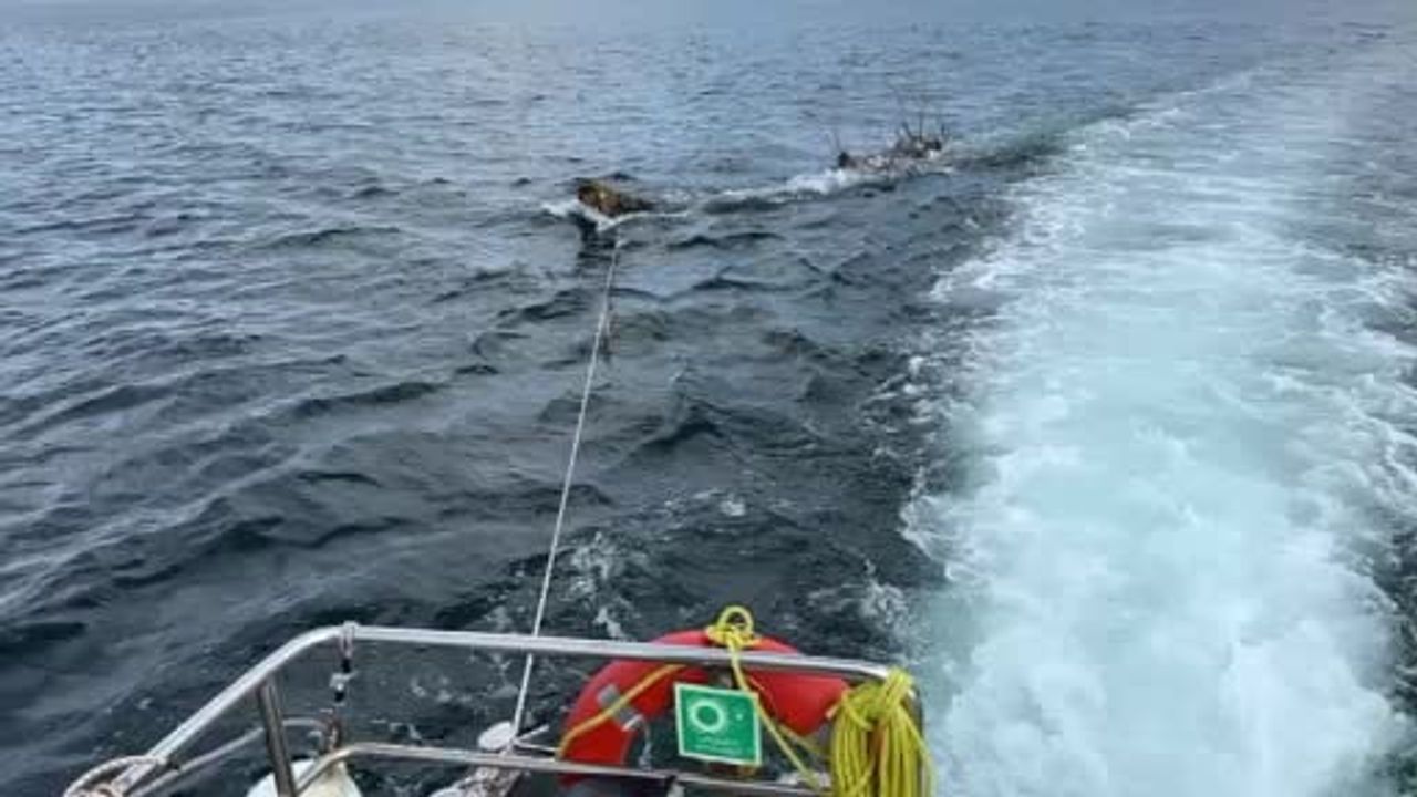 Marmara Denizi'nde feribot güzergâhındaki yüzen ağaç kıyıya çekildi