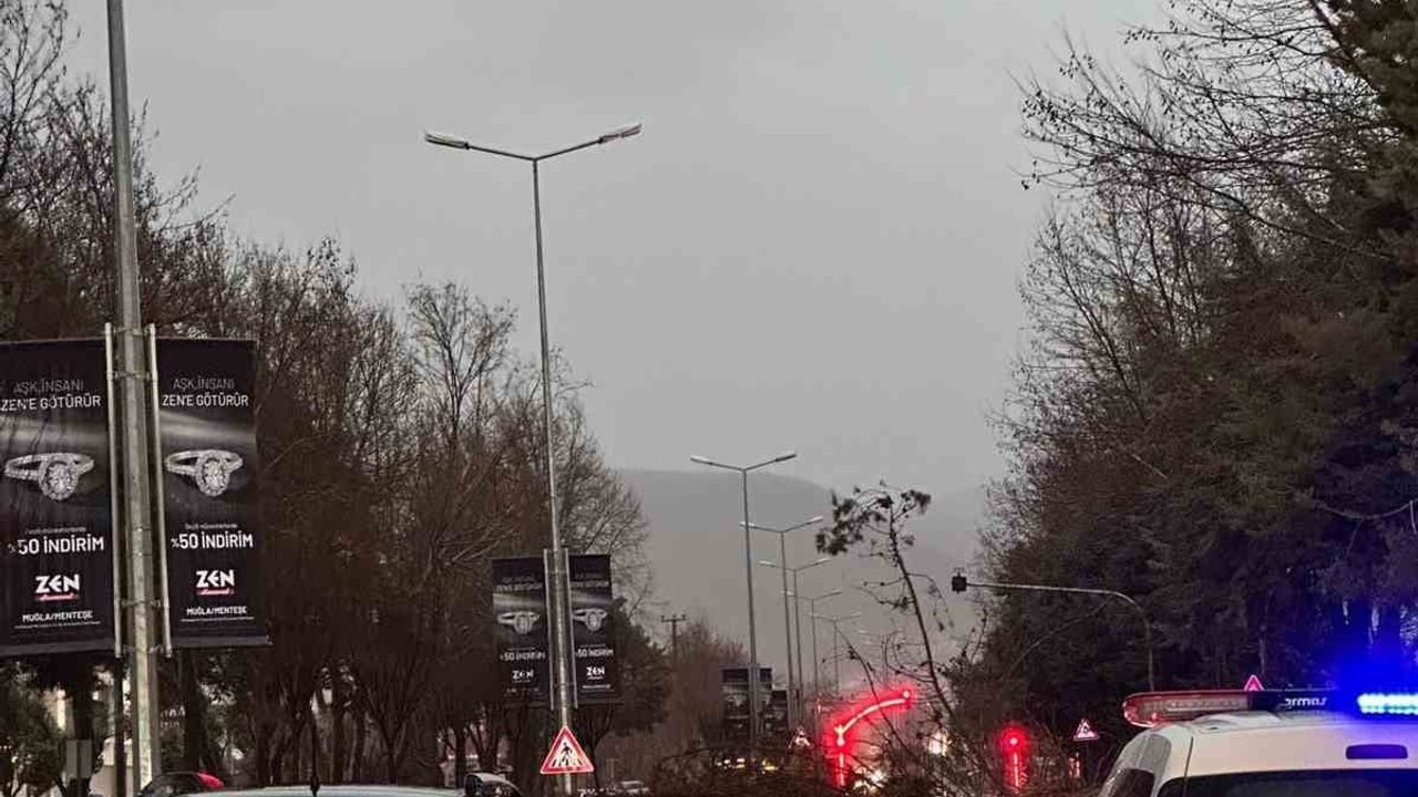 Menteşe'de fırtına ağaç devirdi, Uğur Mumcu Bulvarı trafiğe kapandı