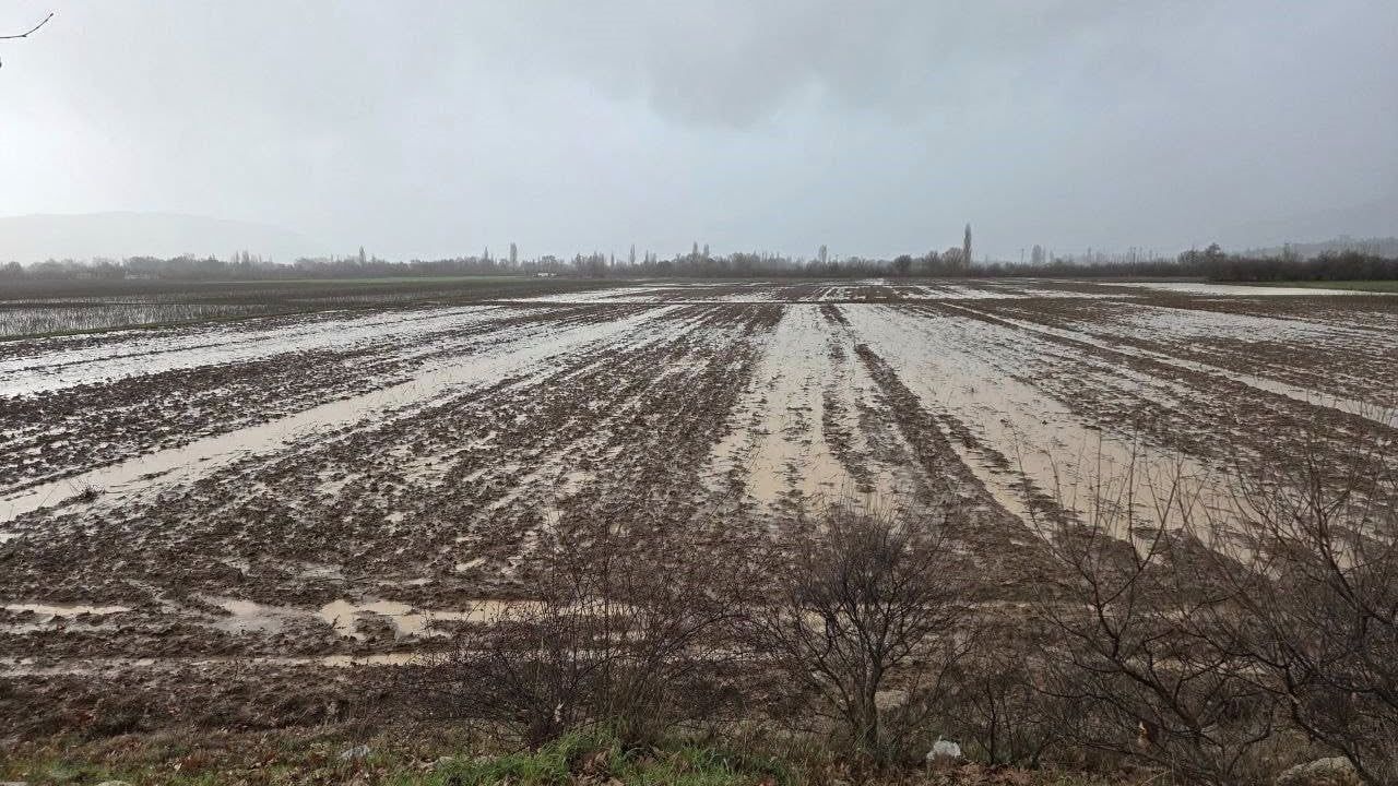 Menteşe'de tarım arazilerinde yerinde inceleme ve koordinasyon