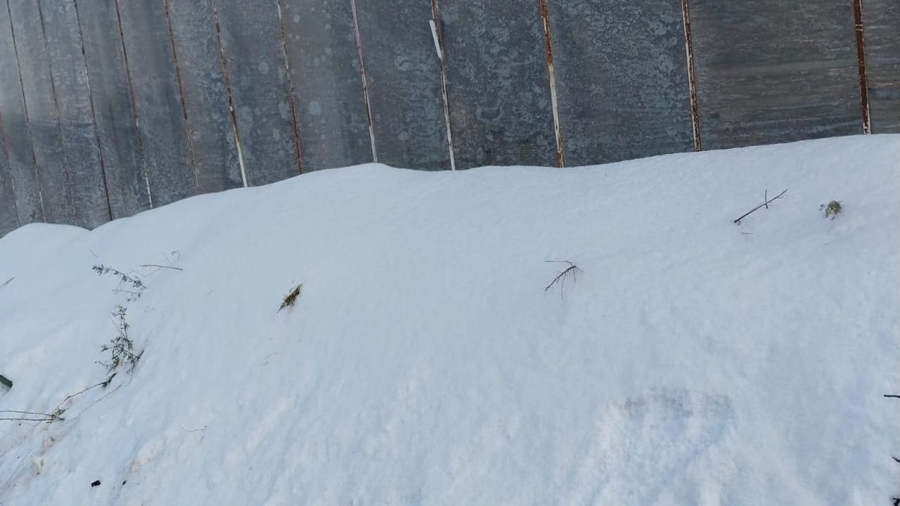 Mersin’de Dolu Seraları Çökertti, Bahçelerde Zarar Oluştu