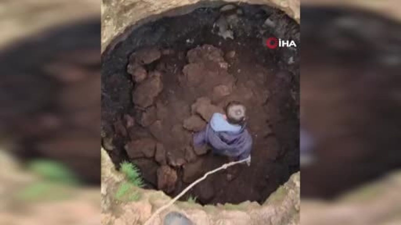 Midyat’ta kuyuda kalan tilki gençlerin müdahalesiyle kurtarıldı