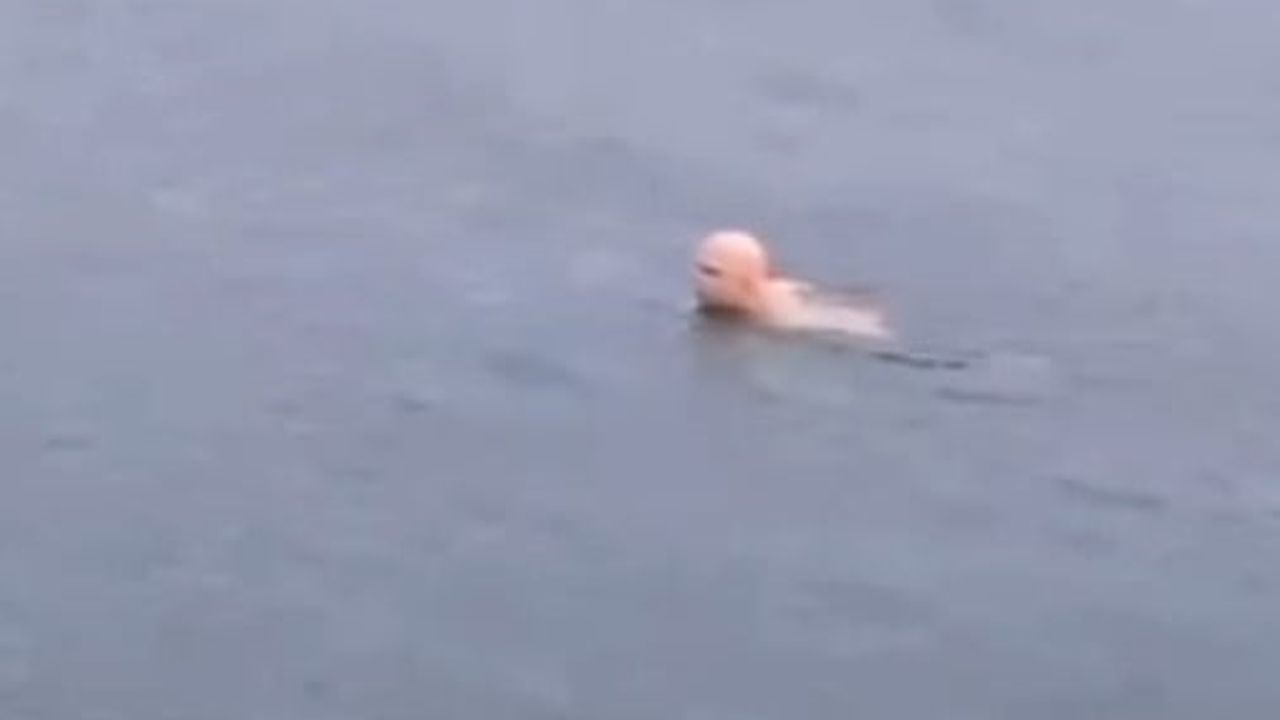 Mudanya'da soğuk havada denize giren kişi şaşırttı