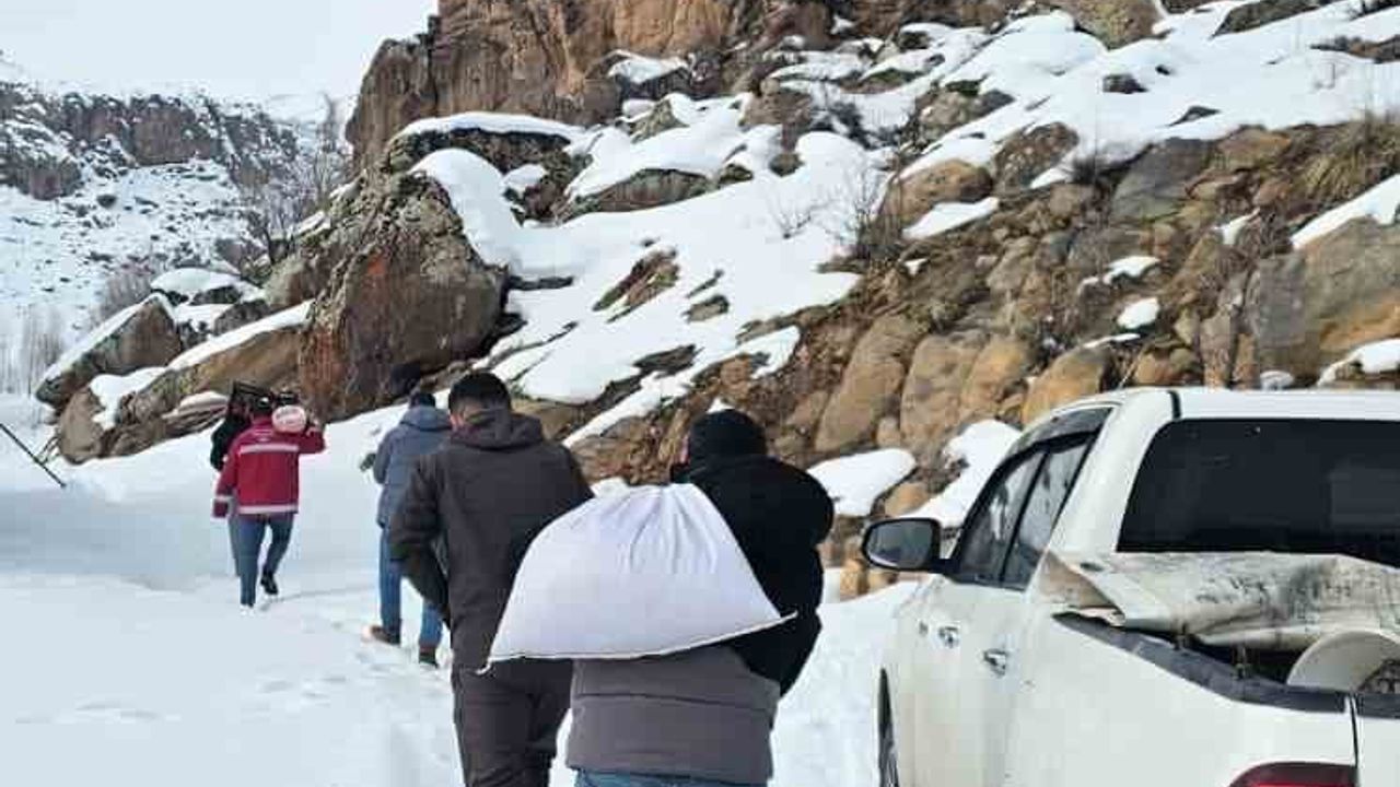 Muradiye'de yaban hayvanlarına kışlık yem bırakıldı