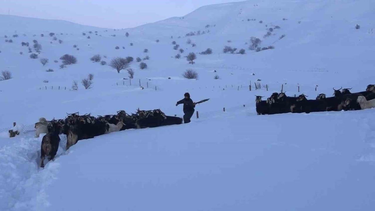 Muş’ta karla kapanan mezra yolunu açan ekipler besici ve hayvanlarını kurtardı