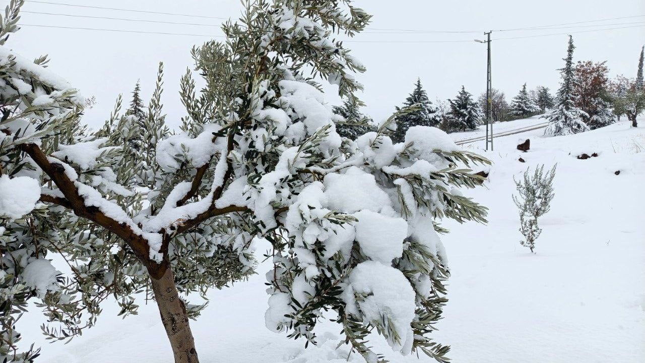 Musabeyli karla kaplandı: Kartpostallık görüntüler