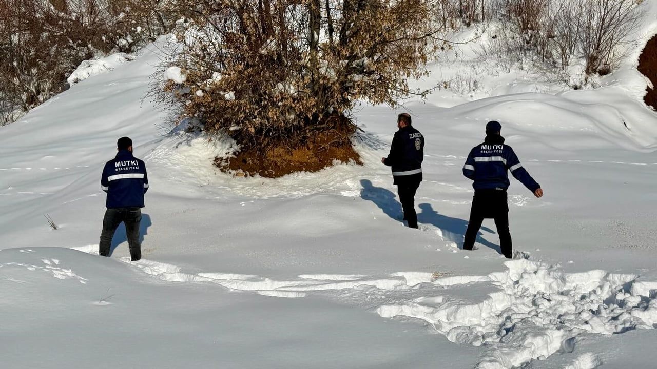 Mutki Belediyesi'nden yaban hayatına kış desteği