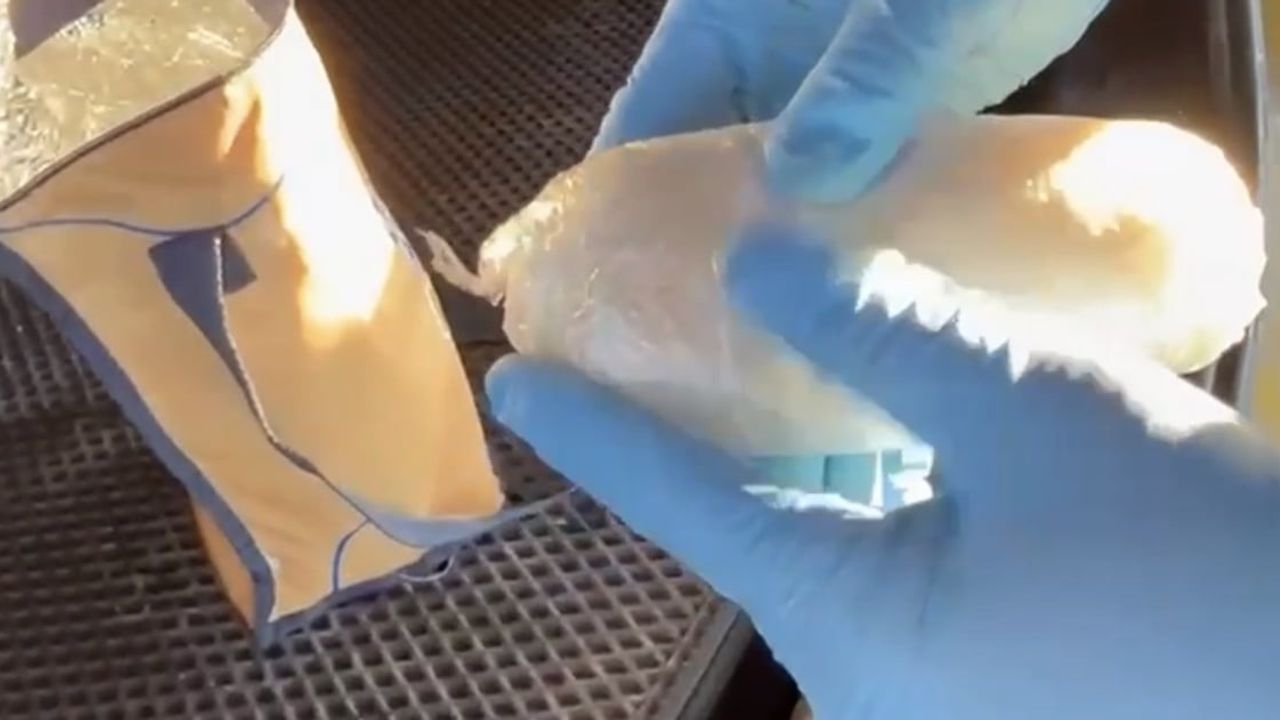 Narkotik Köpeği Pera Havza'da Araçta 590 gram Metamfetamin Ele Geçirdi