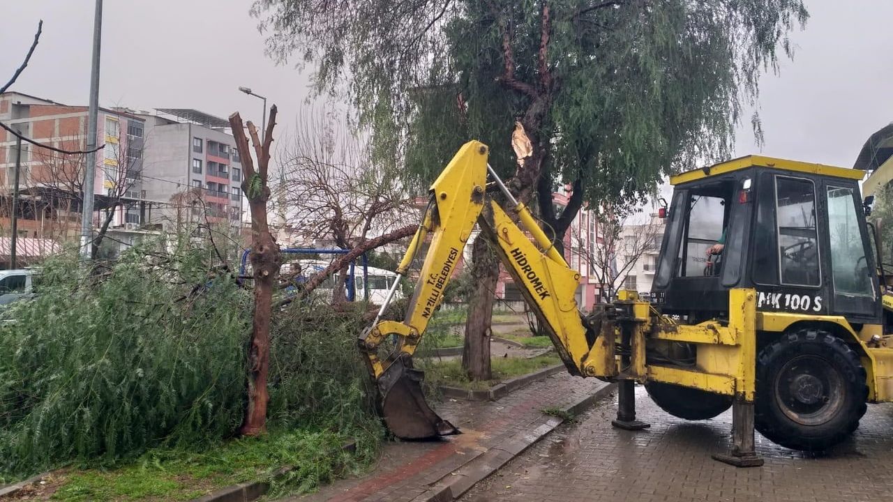 Nazilli Belediyesi devrilen ağaçlara hızlı müdahale gerçekleştirdi