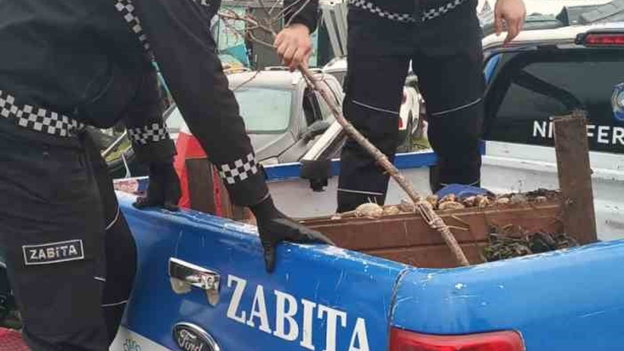 Nilüfer'de kaldırımlar işgalden arındırıldı