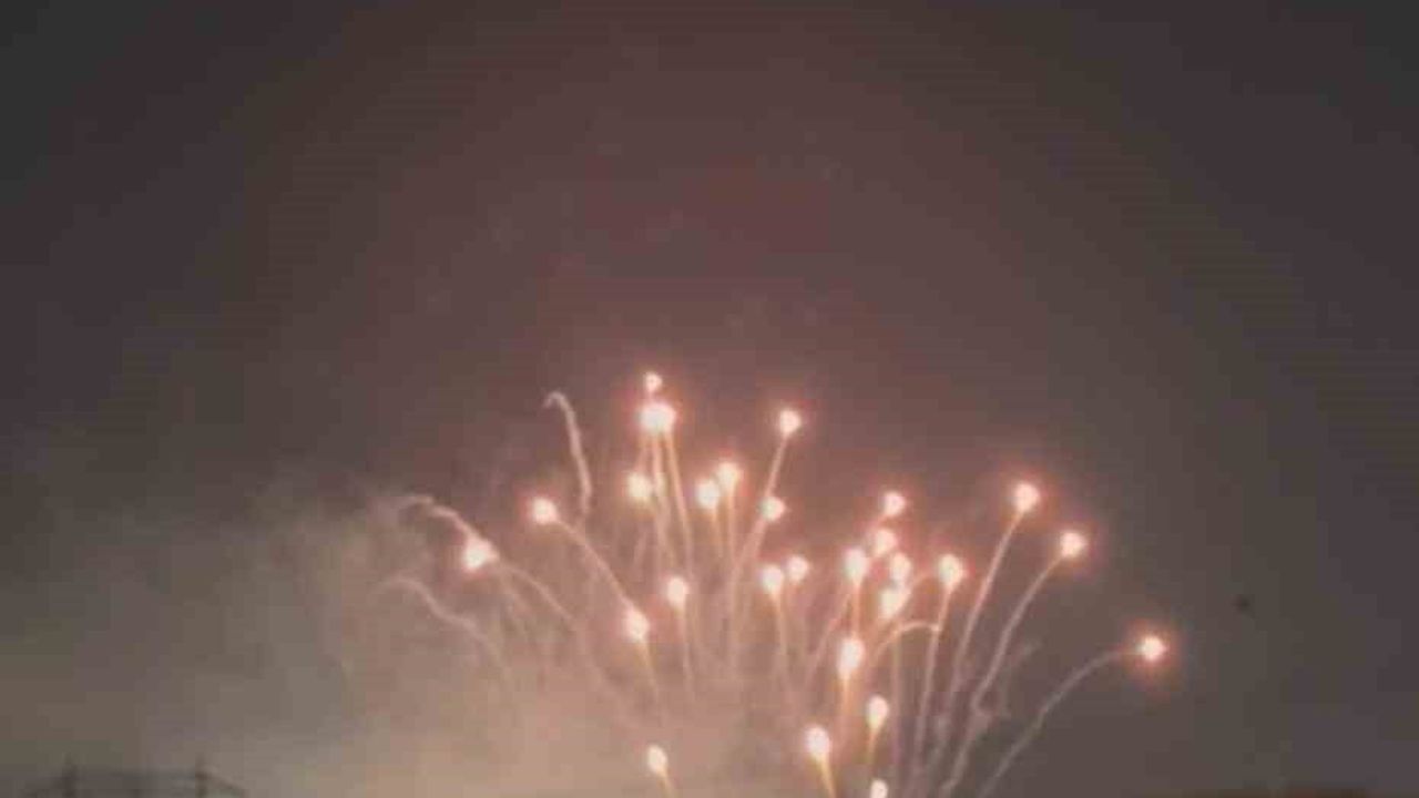 Nilüfer'de rastgele atılan havai fişekler kuşları paniklettirdi