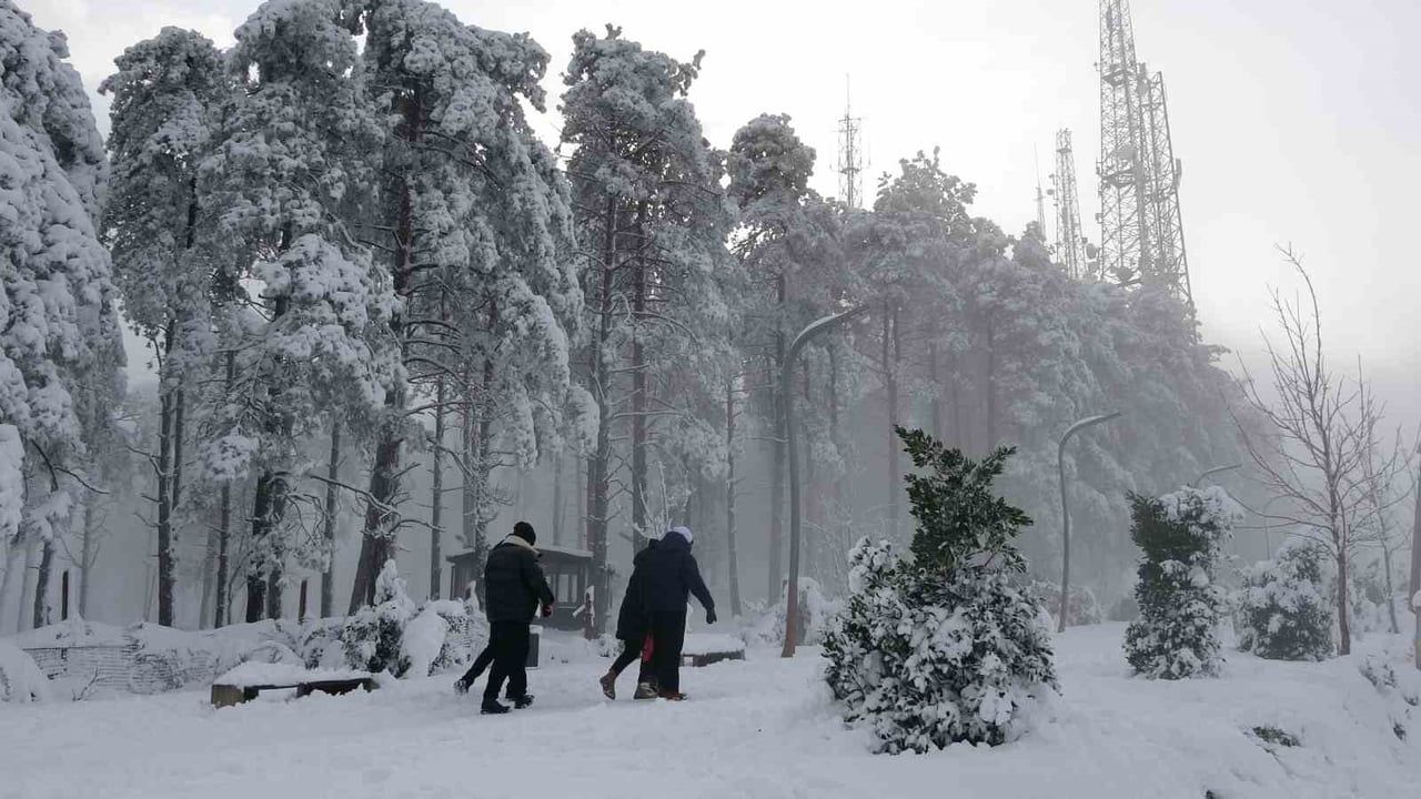 Ordu Boztepe'de Kar Seyir Terasını Beyaza Bürüdü