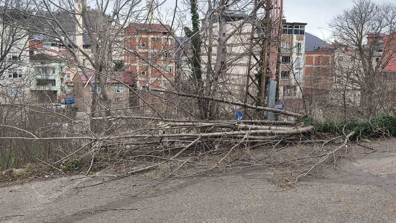 Ordu'nun Kumru ilçesinde fırtına: çatı uçtu, ağaç devrildi