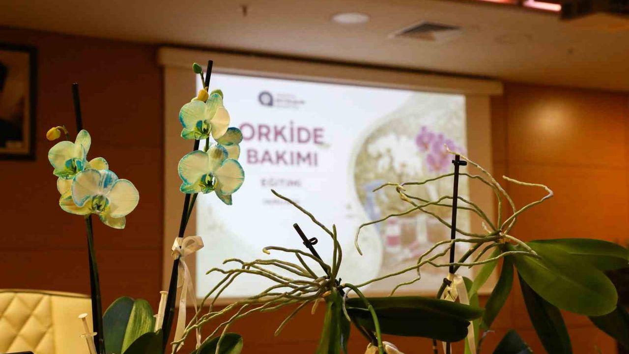 Orkide bakımı uygulamalı eğitimle anlatıldı