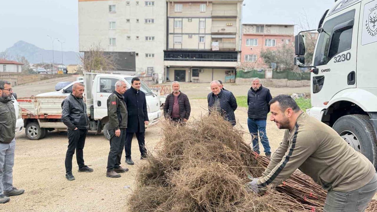Osmaneli'de çiftçilere meyve fidanı desteği