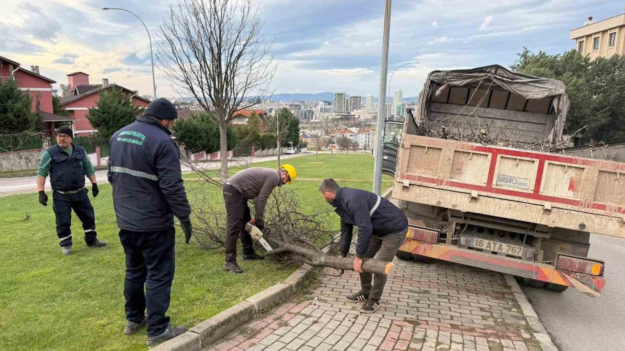 Osmangazi'de lodos ağaçları devirdi, ekipler hızla müdahale etti