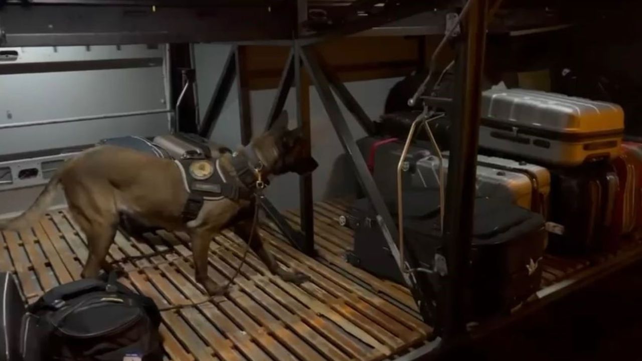 Osmaniye’de otobüs bagajında 4 kilo 715 gram metamfetamin ele geçirildi: 1 tutuklama