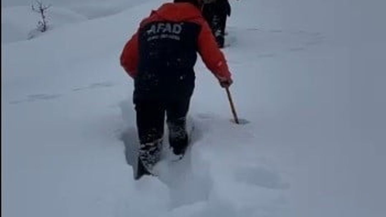 Ovacık’ta asılsız ihbar ekipleri 15 saat sahada tuttu