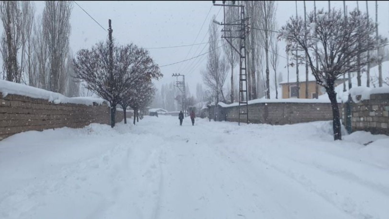 Patnos'ta Kar Yağışı Yeniden Etkili Oldu