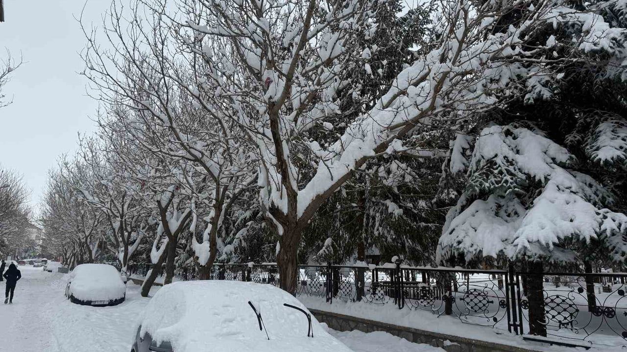Patnos'ta yoğun kar ve dondurucu soğuk yaşamı olumsuz etkiledi