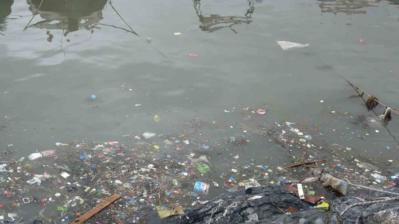 Pendik’te denize atık su iddiası: Kirlilik ve koku şikayeti