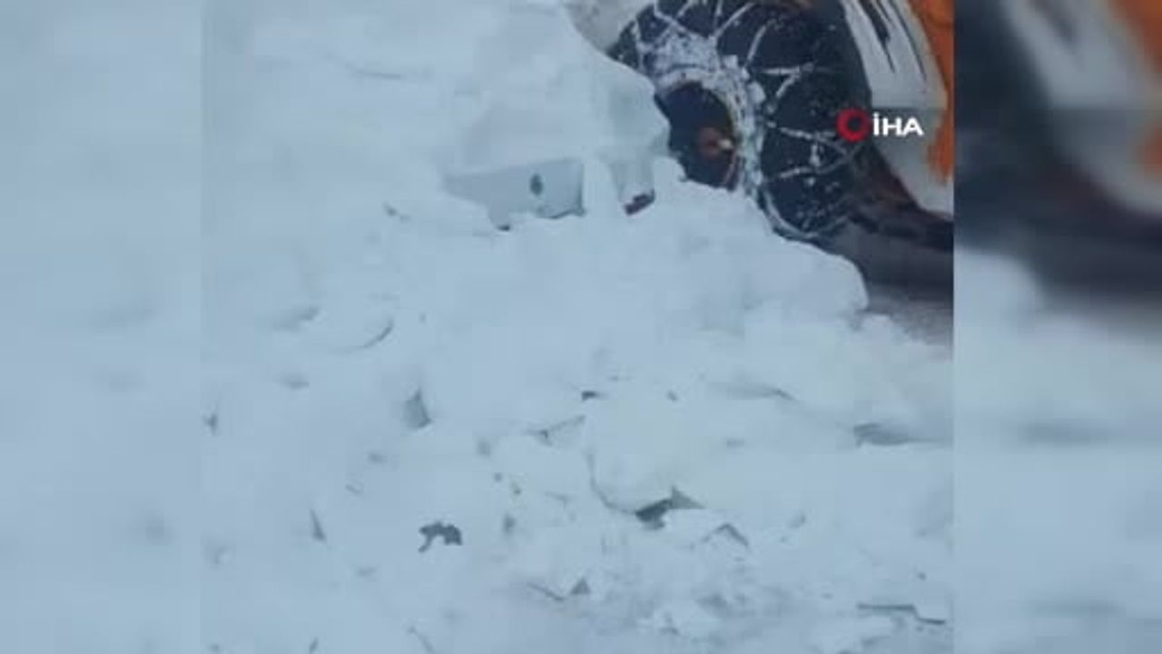 Perşembe Yaylası’nda Yem Bırakmaya Giden Vatandaş Tipide Ölümden Döndü