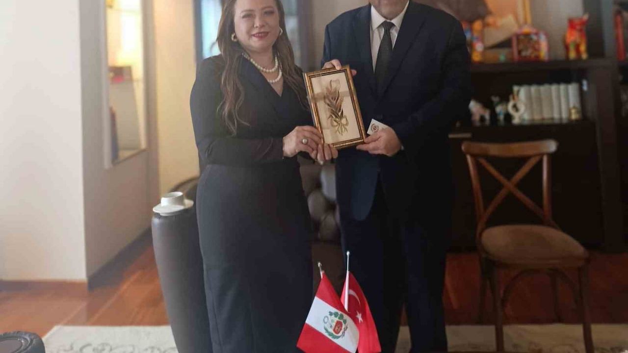 Peru ile Türkiye arasında sağlık, tarım ve ticaret iş birliği görüşmeleri