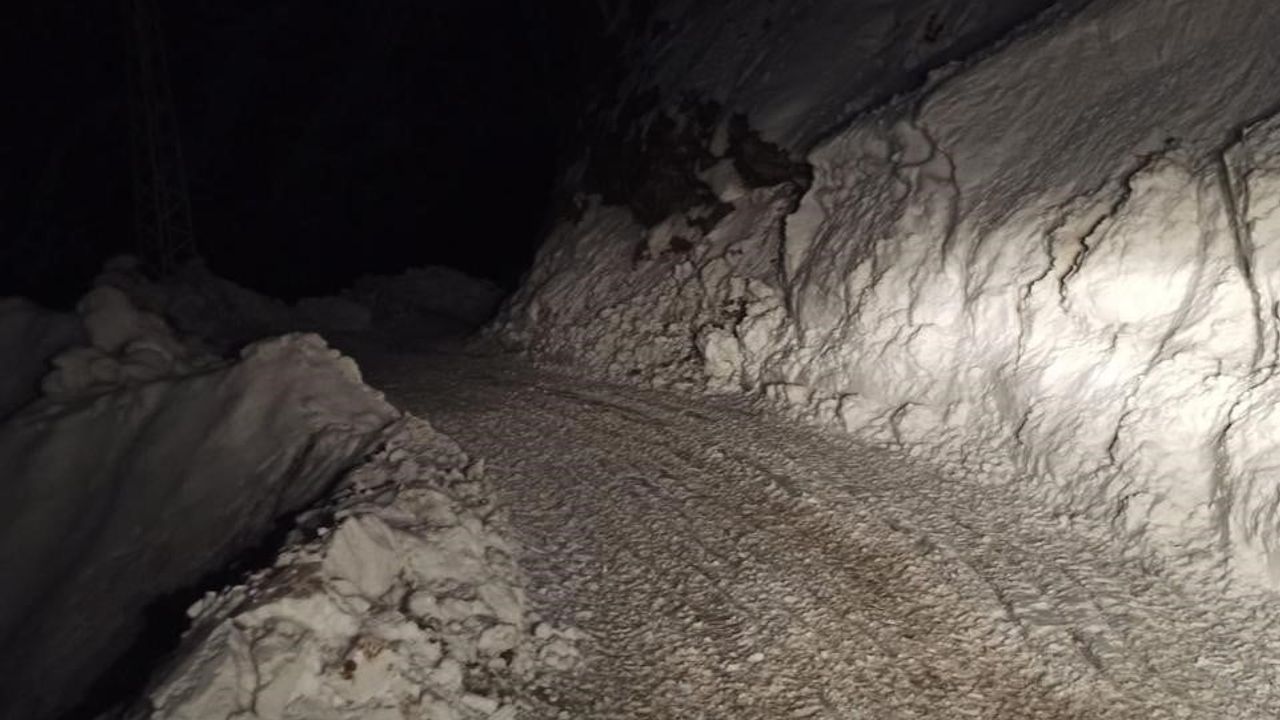 Pervari’de çığın temizlenmesiyle yol tekrar ulaşıma açıldı