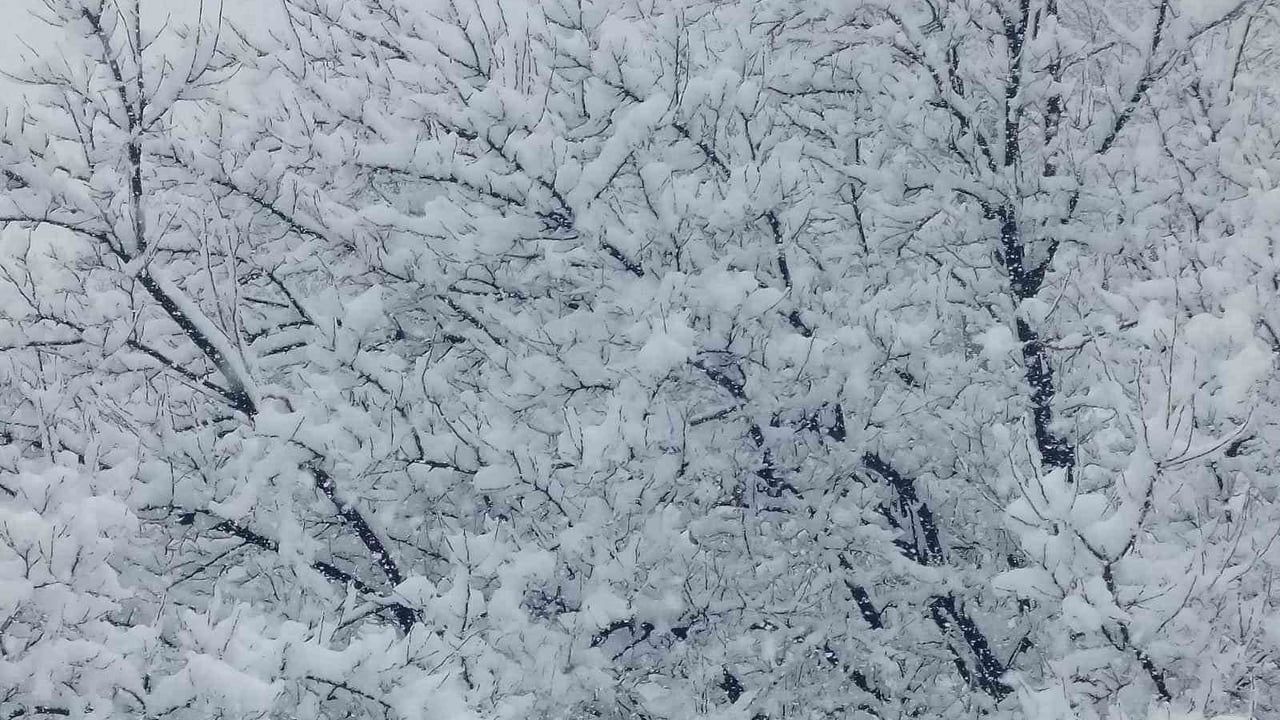 Pütürge'de kar neredeyse 1 metre: Malatya'da sağanak ve kırsal kar