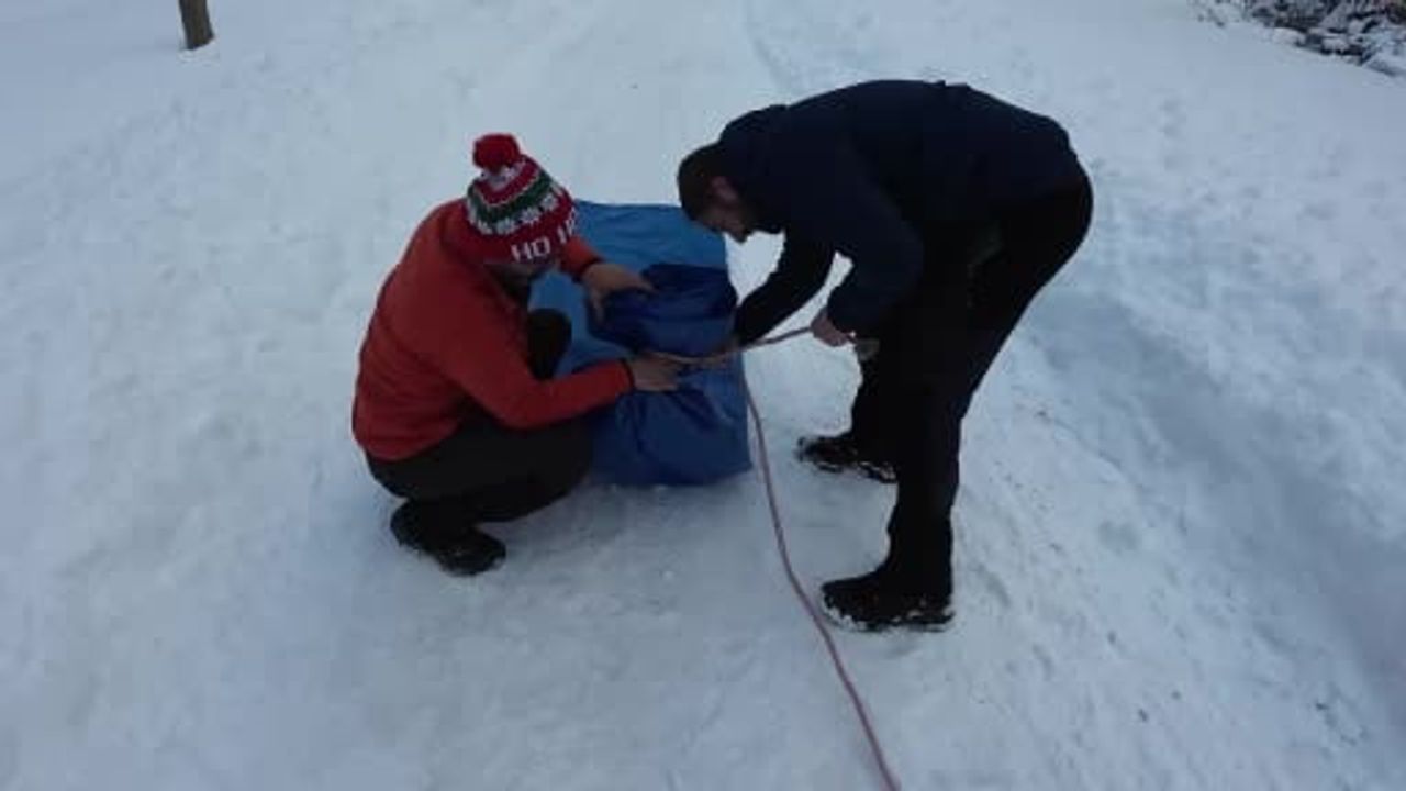 Rizeli gençler brandayla karda kaydı: Sivrikaya Yaylası'nda renkli anlar