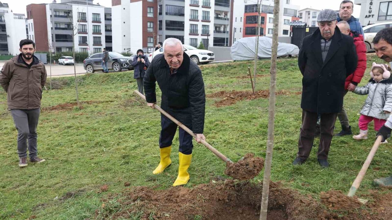 Şadi Özdemir’den mahalle taleplerine hızlı yanıt: Kızılcıklı’da ağaçlandırma, 30 Ağustos Zafer’de inceleme