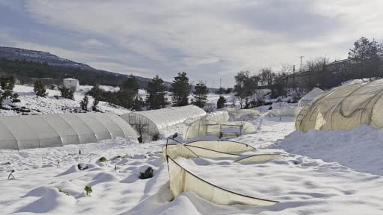 Safranbolu Konarı Köyü'nde yoğun kar seraları yıktı