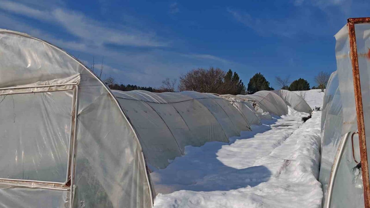 Safranbolu Konarı'nda yoğun kar seralarda ağır hasar oluşturdu