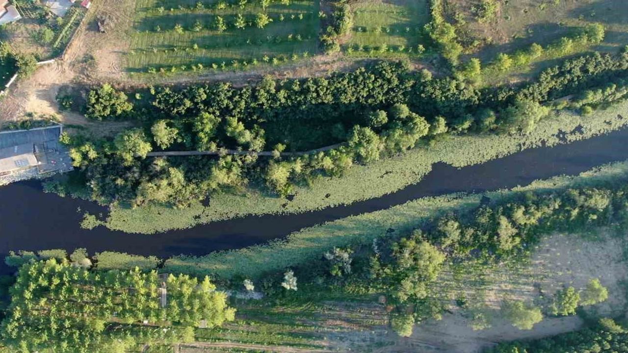 Sakarya’da doğa canlandı: İl Ormanı ve Acarlar Longozu 605 bin ziyaretçi ağırladı