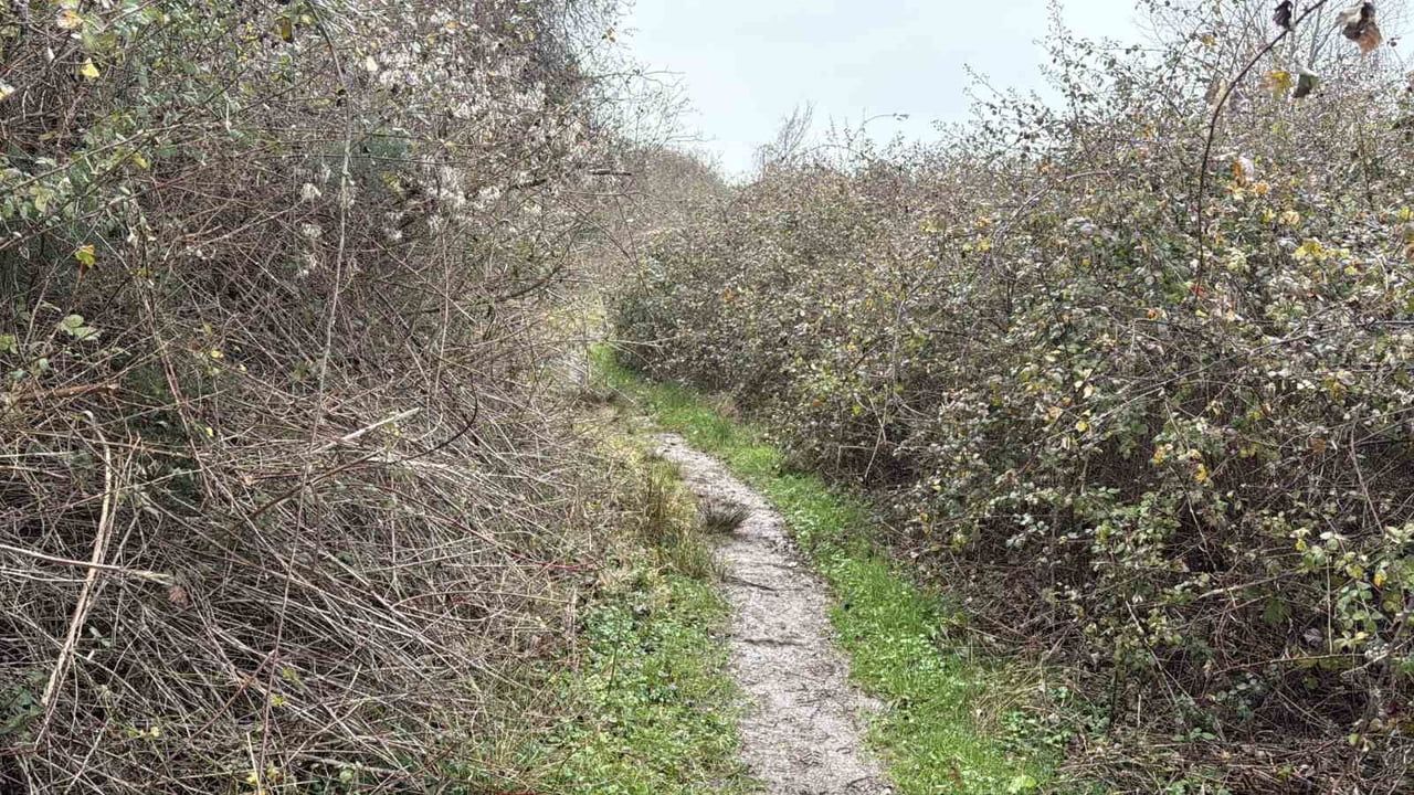 Sakarya'da iki gündür kayıp olan 40 yaşındaki Murat Arslan ölü bulundu
