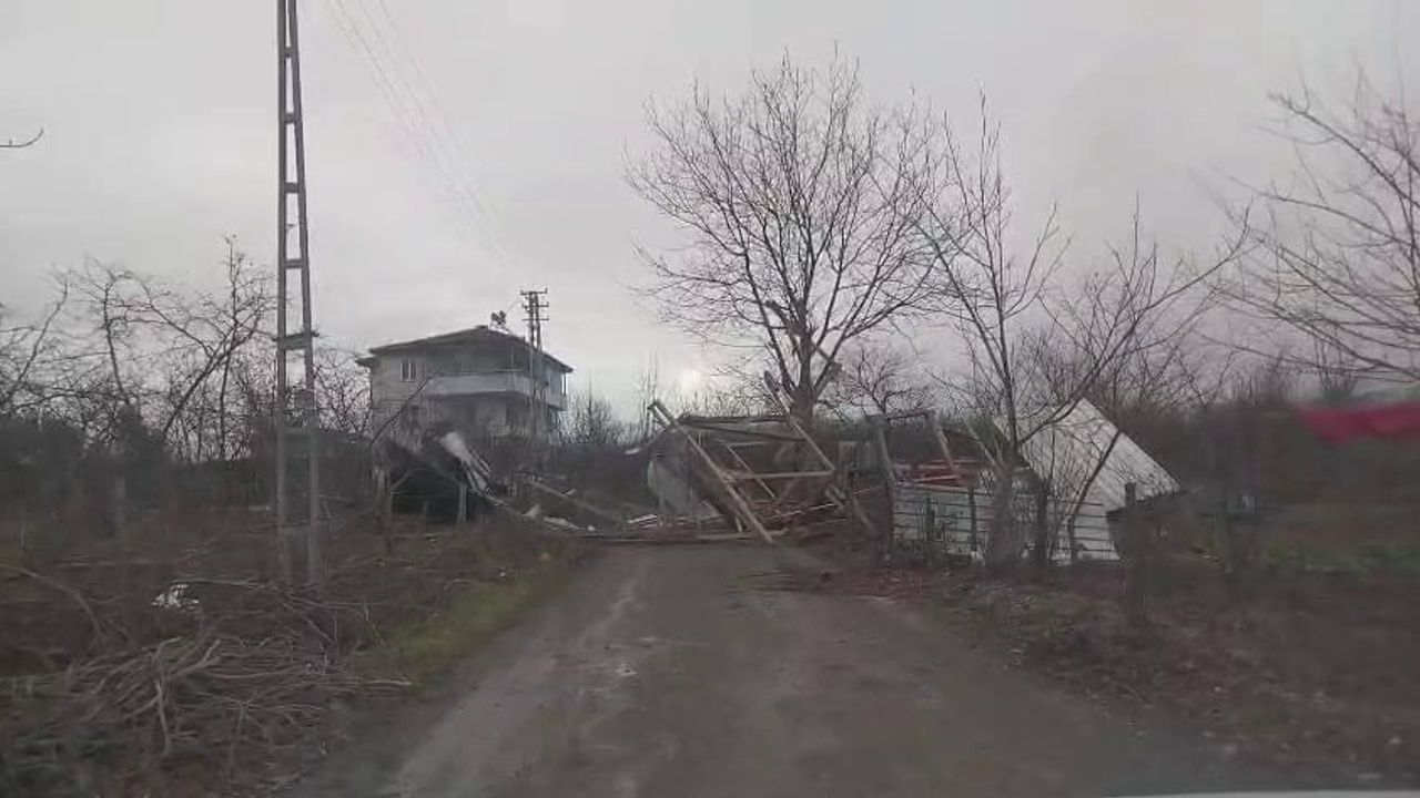 Sakarya'da şiddetli rüzgar Hendek'te yaşamı sekteye uğrattı