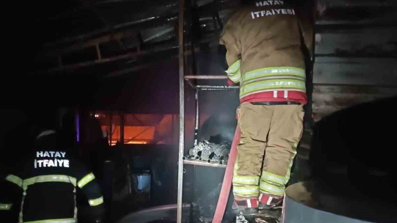 Samandağ'da odunluk yangını kontrol altına alındı