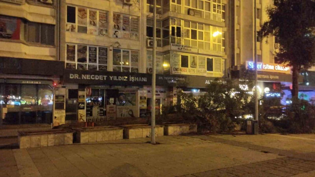 Samsun'da fırtına: Cumhuriyet Meydanı'nda çam ağacı devrildi