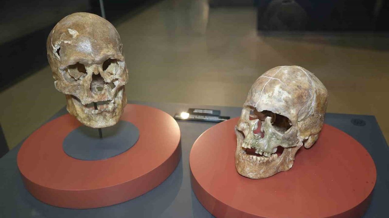 Samsun Müzesi ve Amisos Hazineleri 2025'te Ziyaretçi Çekti