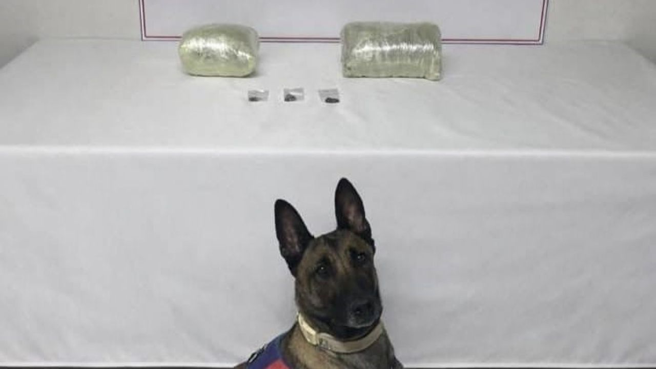 Şanlıurfa'da 2 kilogram kubar esrar ele geçirildi: 1 gözaltı