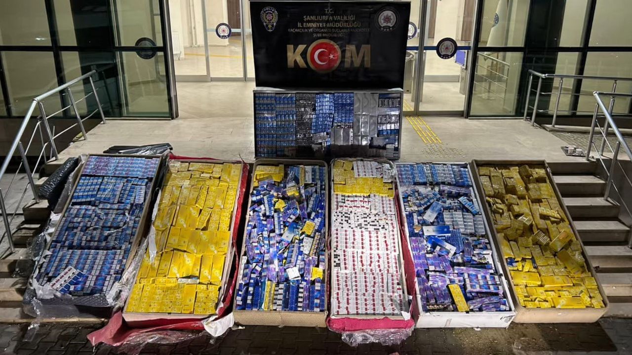 Şanlıurfa'da 40 bin paket kaçak sigara ele geçirildi
