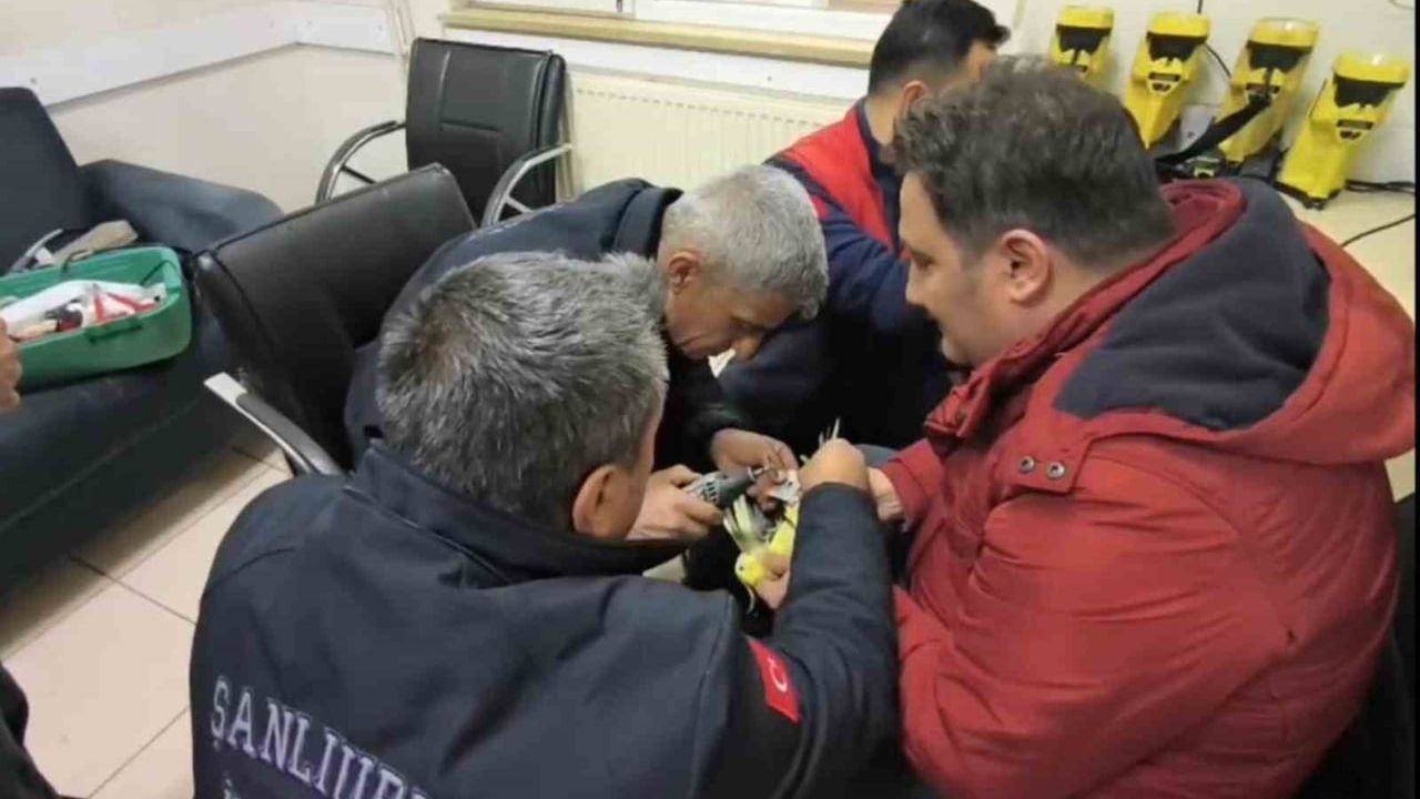 Şanlıurfa'da itfaiye ekipleri papağanın ayağındaki halhali zarar vermeden çıkardı