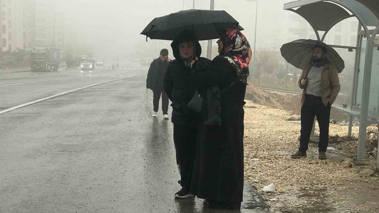 Şanlıurfa'da yoğun sis ve yağış görüşü düşürdü