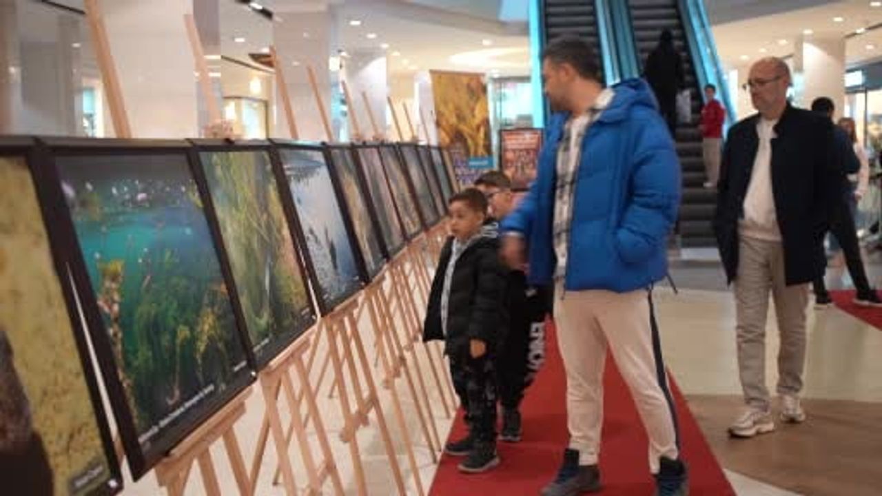 Sapanca Gölü su altı fotoğrafları Gazze için sergiye dönüştü