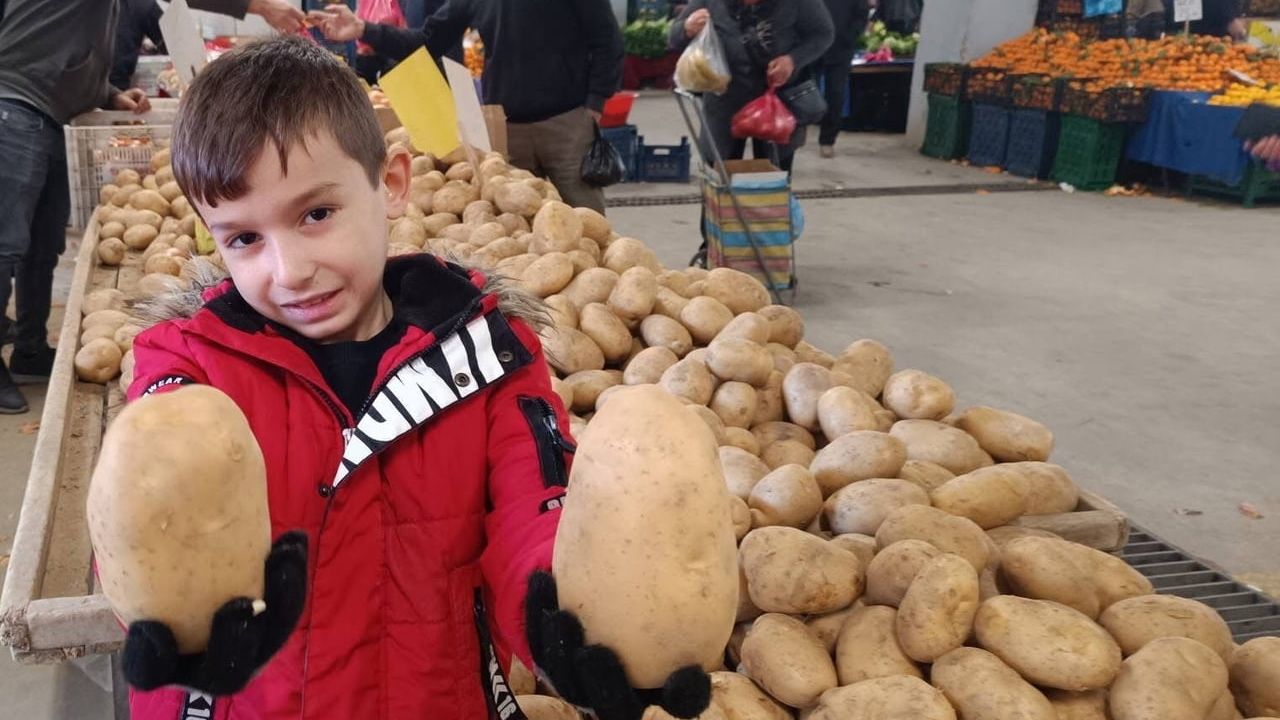 Sarıgöl Pazarında 900 ve 1000 Gramlık Dev Patatesler İlgi Çekti