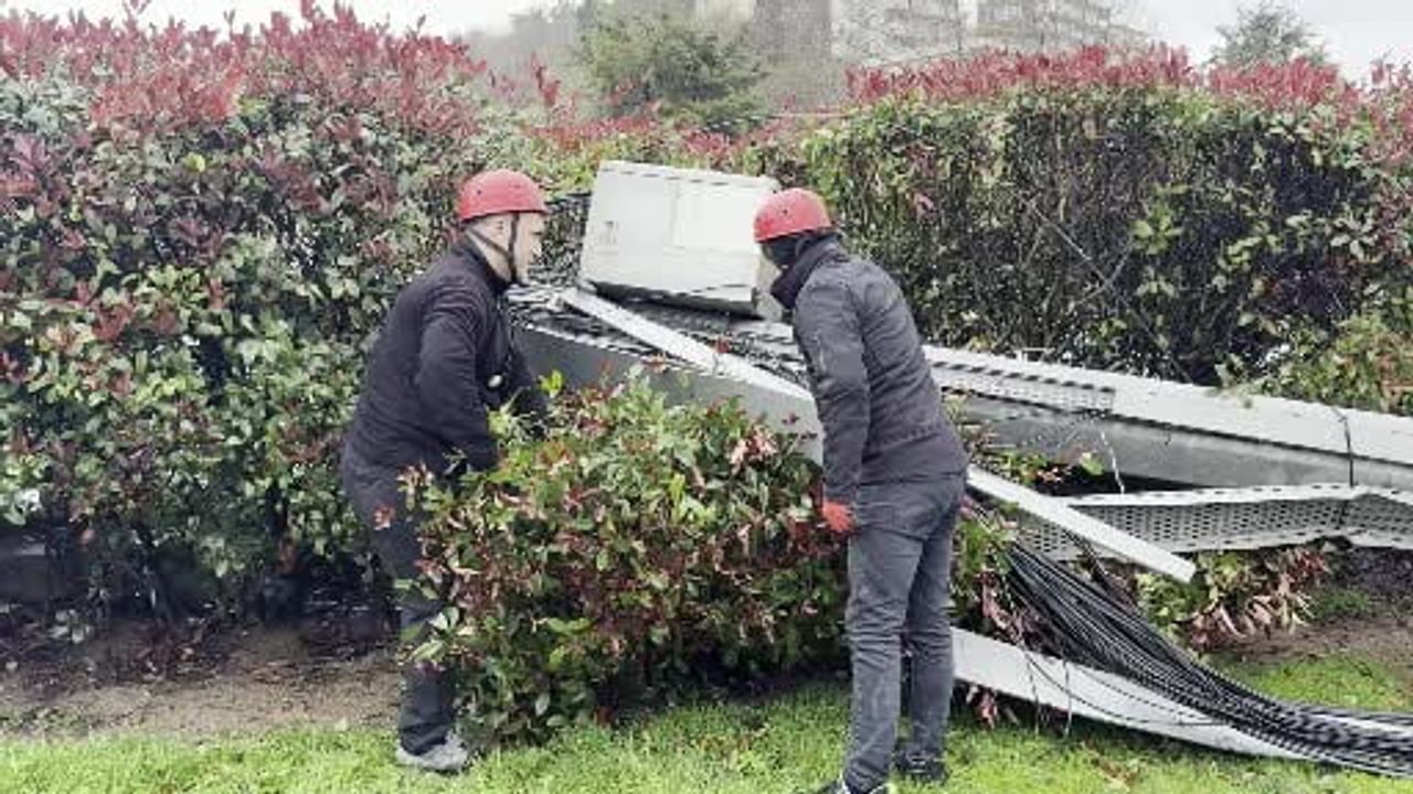 Sarıyer Baltalimanı'nda fırtına: Ağaç ve baz istasyonu devrildi