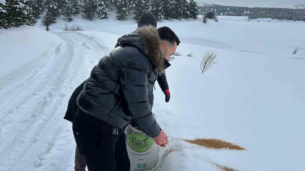 SCÜ, yabani hayvanlar için kentte yemleme yaptı